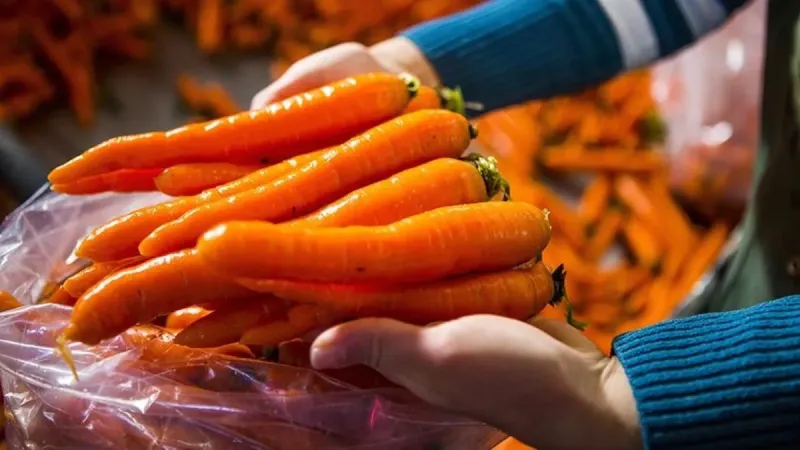 Havuç Mucizesi! Her Gün Bir Tane Yerseniz Bakın Ne Oluyor?