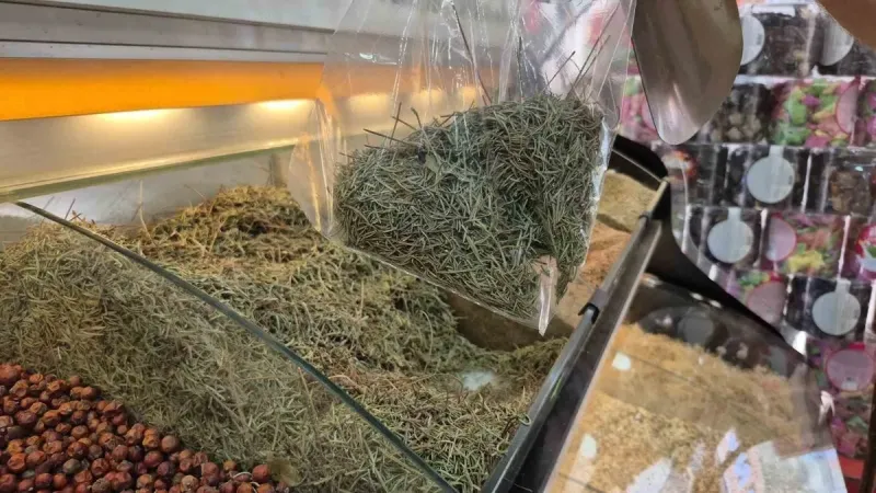 Uzmanlardan Uyarı: Zayıflamak isterken canınızdan olmayın